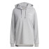 Camisola de malha de montanha adidas Tx Logo Hoody Women's
