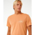 Camiseta Rip Curl Agrafador Homem Salmão