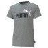 Camiseta Infantil Puma Essentials+ 2 Cor Cinzento