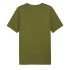 Camiseta Homem Puma Essentials+ 2 Cor Verde