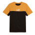 Camiseta Fita adesiva Puma Essentials Block X Homem