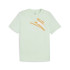 Camiseta Puma Essentials+ AB Verde verão Homem
