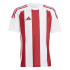 Camiseta de Futebol adidas Riscas 24 Infantil Branco