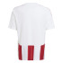 Camiseta de Futebol adidas Riscas 24 Infantil Branco