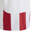Camiseta de Futebol adidas Riscas 24 Infantil Branco