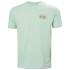 Camiseta por montanha Helly Hansen Skog Recycled Graphi Homem Verde