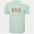 Camiseta por montanha Helly Hansen Skog Recycled Graphi Homem Verde