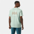 Camiseta por montanha Helly Hansen Skog Recycled Graphi Homem Verde