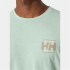 Camiseta por montanha Helly Hansen Skog Recycled Graphi Homem Verde