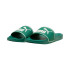 Chinelos Puma Leadcat 2.0 Verde