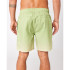 Fato de banho de Praia e piscina Rip Curl Alcion Volley Homem Amarelo verde