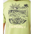 Camiseta de Surfar Rip Curl Surfar Paradise F&B Homem Khaki