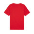 Camiseta Puma Essentials + verão AB para sempre Homem