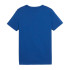 Camiseta Puma Essentials+ 2 Col Cinzento Infantil