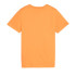 Camiseta Puma Essentials+ 2 Col Laranja Infantil
