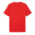 Camiseta Puma GRAPHICS Summer by For All Time Homem