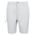 Calça de Montanha Regatta Dalry Homem Silver Gris
