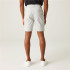 Calça de Montanha Regatta Dalry Homem Silver Gris