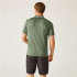 Polo de Montanha Regatta Remex II Homem Agave Verde