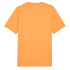Camiseta Homem Puma Graphics Mountain e Clementine Orange
