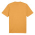 Camiseta Puma Essentials + 2 Col Laranja Homem