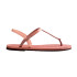 Chinelos Havaianas Você Paraty RJ Crocus Rose
