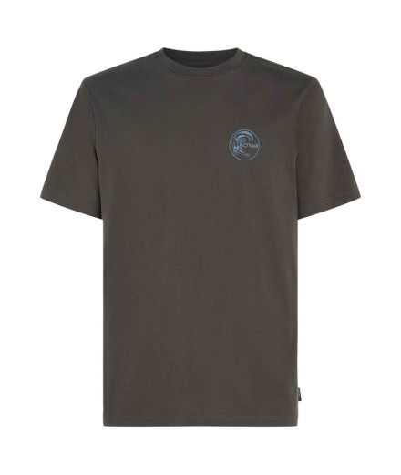 Camiseta O'Neill O'riginals Sun Cinzento Homem