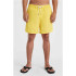 Fato de banho de praia e piscina O'Neill Vert 16'' Amarelo Homem