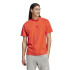 Camiseta adidas Homem Todos Szn Red