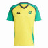 Camiseta Futebol adidas Homem de Jamaica 2024 Casa Amarela