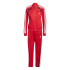 Fato de treino adidas Mulher Teamsport Vermelho