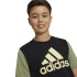Camiseta adidas Infantil Essentials Big Logo Colorblock Cotton Preto