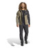 Casaco Montanha adidas Homem by Terrex Multi Softshell Verde azeitona