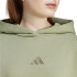 Moletom adidas Mulher All Szn Fleece Loose Verde