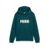 Moletom Casual Puma Essentials + 2 Col Big Logo Fl Menino