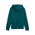 Moletom Casual Puma Essentials + 2 Col Big Logo Fl Menino