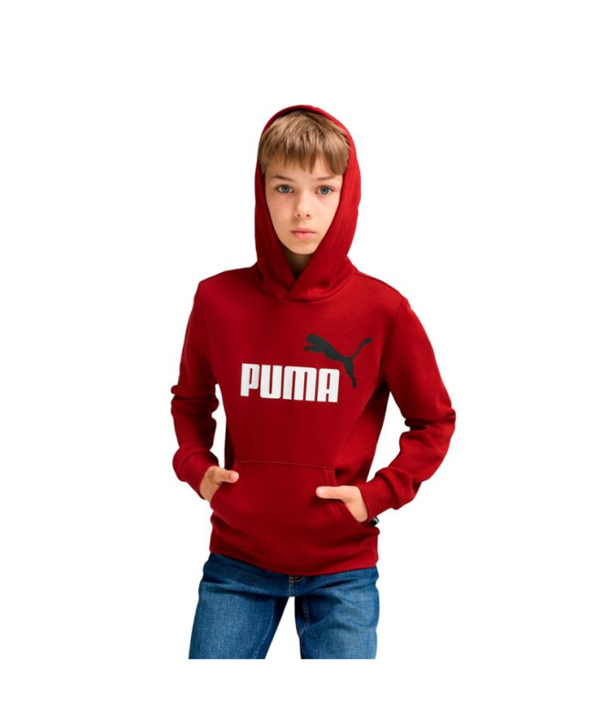 Moletom Casual Puma Essentials + 2 Col Big Logo...