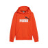 Moletom Casual Puma Essentials + 2 Col Big Logo Fl Menino