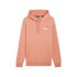 Moletom Casual Puma Essentials + 2 Col Small Logo Fl Homem