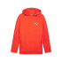 Moletom Casual Puma Evostripe Dk Homem