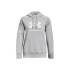 Moletom Fitness Under Armour Mulher by Rival Fleece Big Logo Cinzento