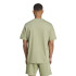 Camiseta adidas Homem Todos os Szn Green