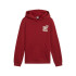 Moletom Casaco com capuz Puma Essentials+ Mid 90S Fl Menino