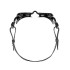 Gafas de natação Zoggs Vision Preto Preto