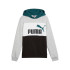 Moletom Casual Casaco com capuz Puma Essentials Block Fl Menino