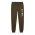 Calça Calças de treino Puma Power Graphic Fl Cl Homem