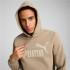 Moletom Casual Homem Puma Essentials Grande Logótipo Bege