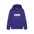Moletom Casual Menino Puma Essentials+ 2 Col Grande logótipo azul
