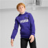 Moletom Casual Menino Puma Essentials+ 2 Col Grande logótipo azul