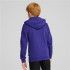 Moletom Casual Menino Puma Essentials+ 2 Col Grande logótipo azul